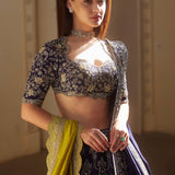 Embroidered lehenga Set - Jayanti Reddy