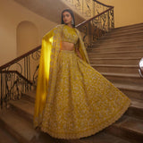 Embroidered Mustard lehenga Set - Jayanti Reddy