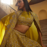 Embroidered Mustard lehenga Set - Jayanti Reddy
