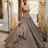 Golden beige organza lehenga set