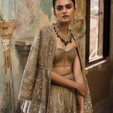 Golden beige organza lehenga set