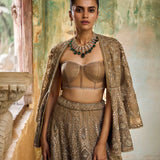 Golden beige organza lehenga set