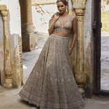 Golden beige organza lehenga set