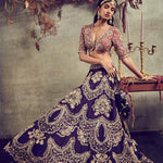 Embroidered Lehenga Set With Blouse - Jayanti Reddy