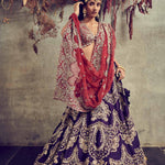 Lehenga Set With Blouse And Dupatta - Jayanti Reddy